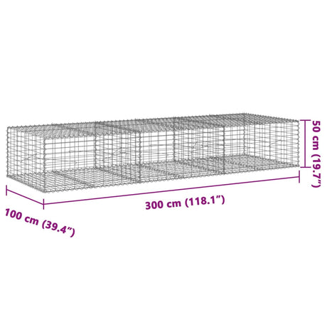 Schanskorf 300x100x50 cm gegalvaniseerd ijzer zilverkleurig - AllerleiShop