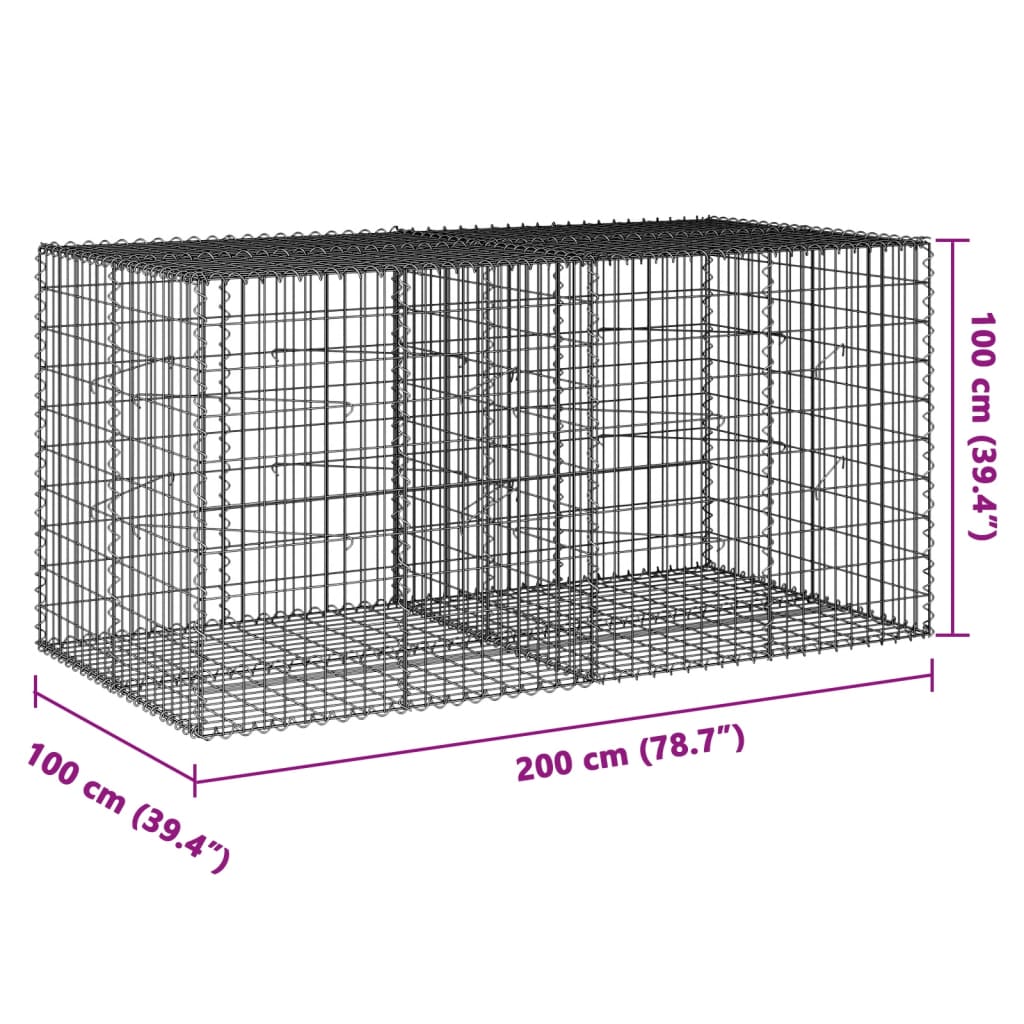 Schanskorf 200x100x100 cm gegalvaniseerd ijzer zilverkleurig - AllerleiShop