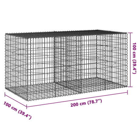 Schanskorf 200x100x100 cm gegalvaniseerd ijzer zilverkleurig - AllerleiShop