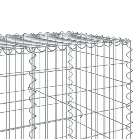 Schanskorf 250x100x100 cm gegalvaniseerd ijzer zilverkleurig - AllerleiShop