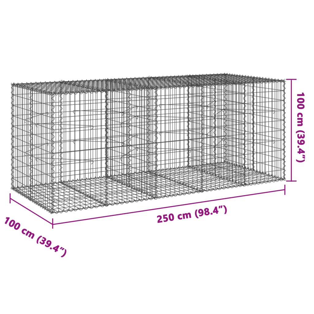 Schanskorf 250x100x100 cm gegalvaniseerd ijzer zilverkleurig - AllerleiShop