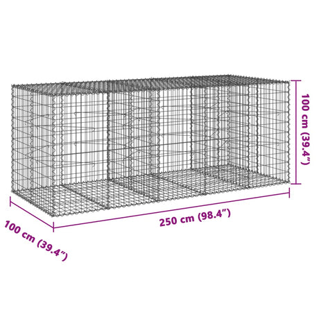 Schanskorf 250x100x100 cm gegalvaniseerd ijzer zilverkleurig - AllerleiShop