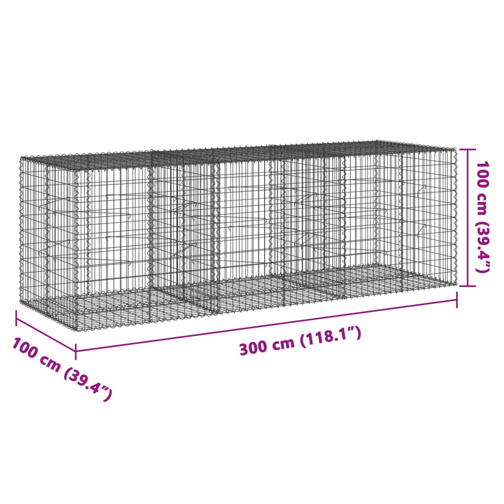 Schanskorf 300x100x100 cm gegalvaniseerd ijzer zilverkleurig - AllerleiShop