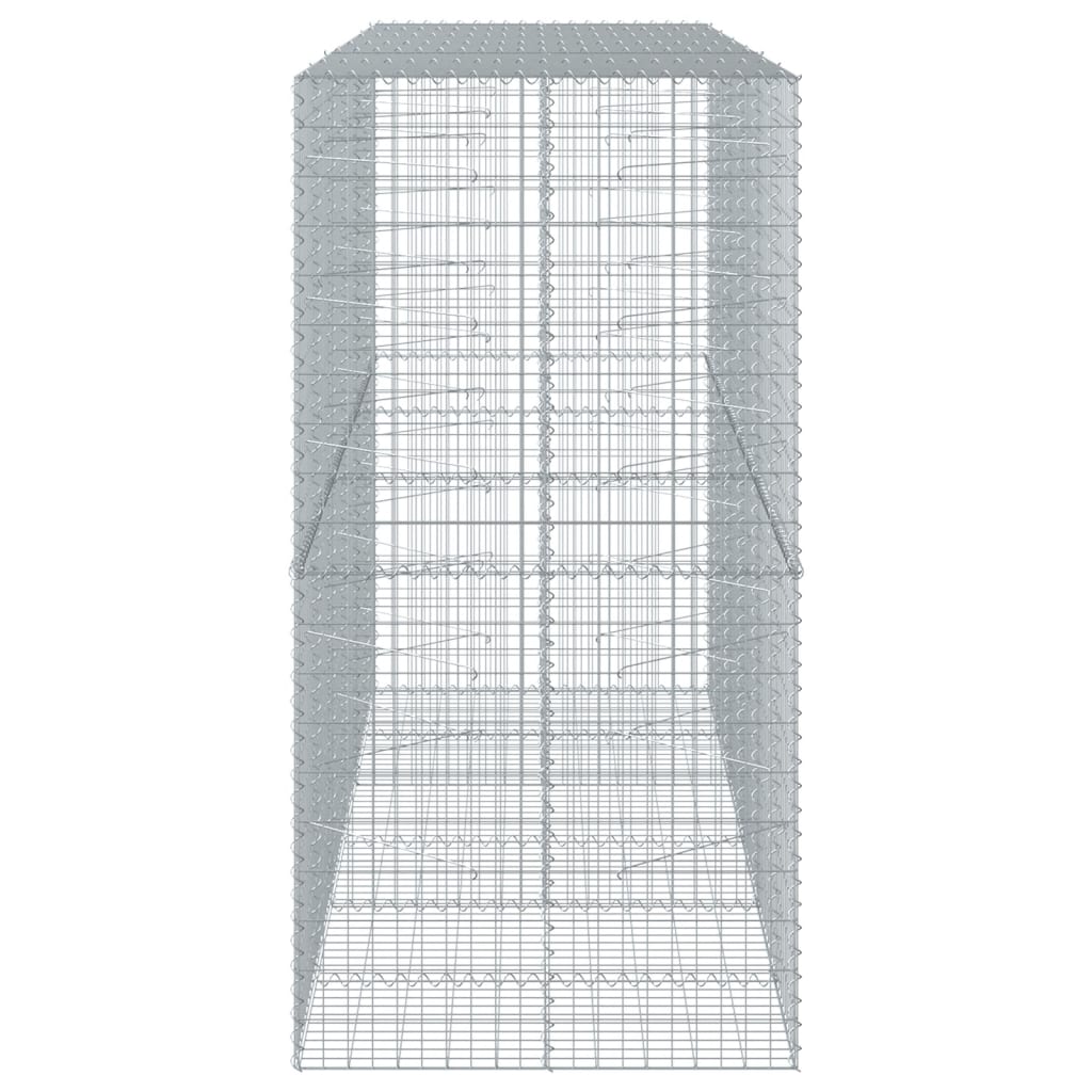 Schanskorf 300x100x200 cm gegalvaniseerd ijzer zilverkleurig - AllerleiShop