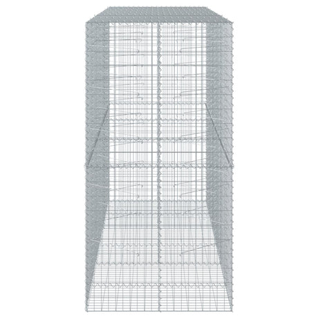 Schanskorf 300x100x200 cm gegalvaniseerd ijzer zilverkleurig - AllerleiShop