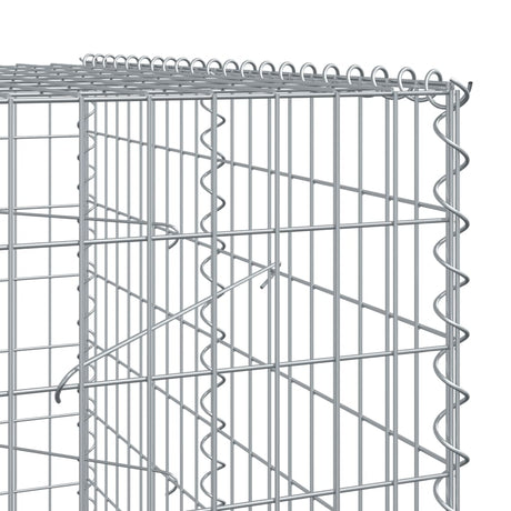 Schanskorf 300x100x200 cm gegalvaniseerd ijzer zilverkleurig - AllerleiShop