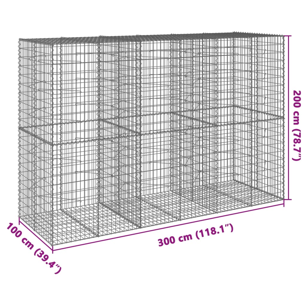 Schanskorf 300x100x200 cm gegalvaniseerd ijzer zilverkleurig - AllerleiShop