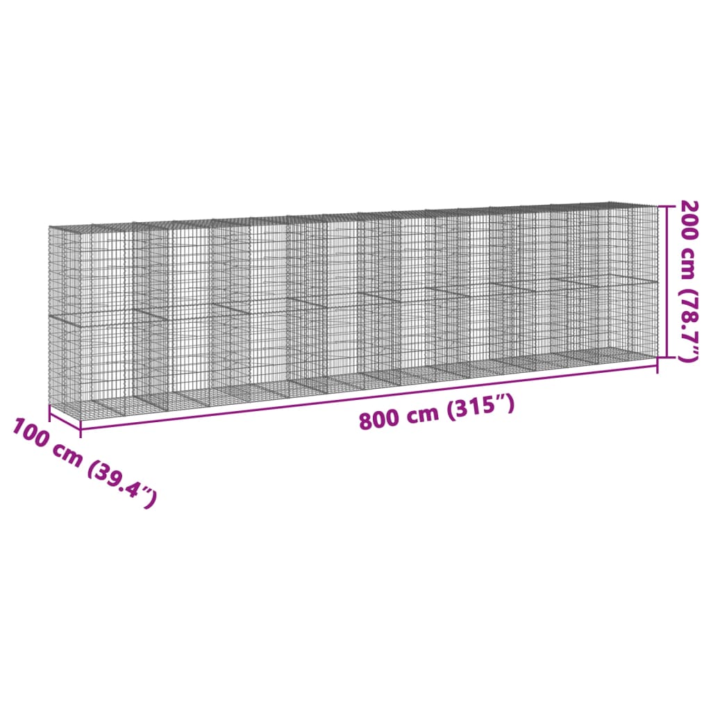 Schanskorf 800x100x200 cm gegalvaniseerd ijzer zilverkleurig - AllerleiShop