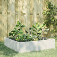 Plantenbak verhoogd 100x100x25 cm staal wit - AllerleiShop