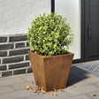 Plantenbak 30x30x30 cm cortenstaal - AllerleiShop