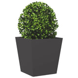 Plantenbakken 2 st 40x40x40 cm staal zwart - AllerleiShop