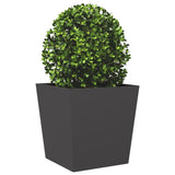 Plantenbak 50x50x50 cm staal zwart - AllerleiShop