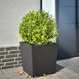 Plantenbak 50x50x50 cm staal zwart - AllerleiShop