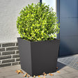 Plantenbakken 2 st 50x50x50 cm staal zwart - AllerleiShop