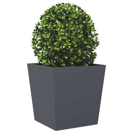 Plantenbak 50x50x50 cm staal antracietkleurig - AllerleiShop