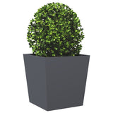 Plantenbakken 2 st 50x50x50 cm staal antracietkleurig - AllerleiShop