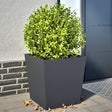 Plantenbakken 2 st 50x50x50 cm staal antracietkleurig - AllerleiShop