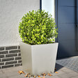 Plantenbak 50x50x50 cm roestvrij staal - AllerleiShop