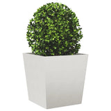 Plantenbakken 2 st 50x50x50 cm roestvrij staal - AllerleiShop