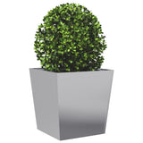 Plantenbak 50x50x50 cm gegalvaniseerd staal - AllerleiShop