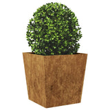 Plantenbak 50x50x50 cm cortenstaal - AllerleiShop