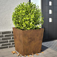 Plantenbakken 2 st 50x50x50 cm cortenstaal - AllerleiShop