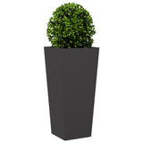 Plantenbakken 2 st 35x35x75 cm staal zwart - AllerleiShop