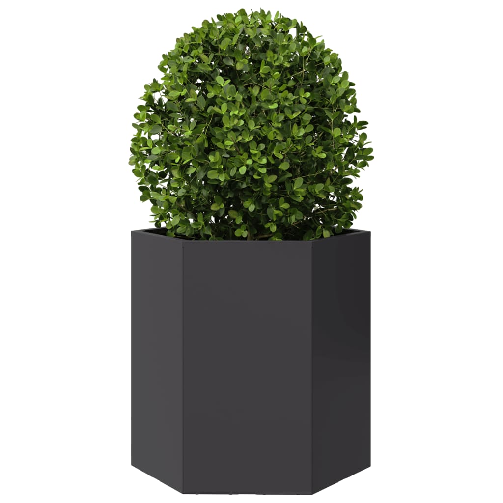 Plantenbakken 2 st zeshoek 46x40x45 cm staal zwart - AllerleiShop