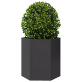 Plantenbakken 2 st zeshoek 46x40x45 cm staal zwart - AllerleiShop