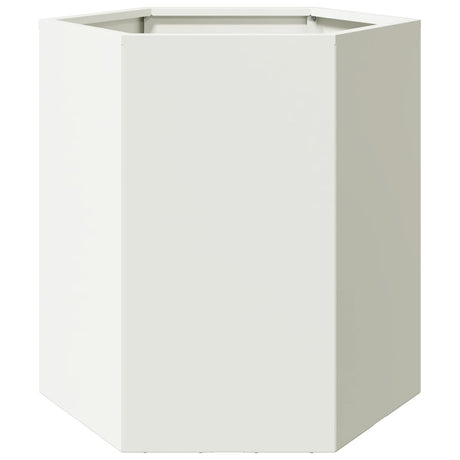 Plantenbak zeshoek 46x40x45 cm staal wit - AllerleiShop