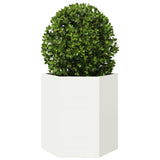 Plantenbak zeshoek 46x40x45 cm staal wit - AllerleiShop