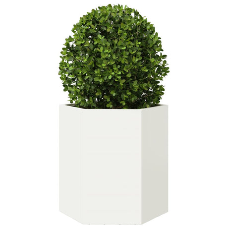 Plantenbak zeshoek 46x40x45 cm staal wit - AllerleiShop