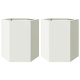 Plantenbakken 2 st zeshoek 46x40x45 cm staal wit - AllerleiShop