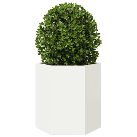 Plantenbakken 2 st zeshoek 46x40x45 cm staal wit - AllerleiShop