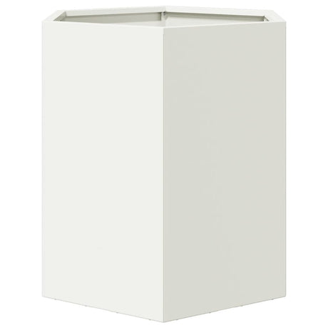 Plantenbakken 2 st zeshoek 46x40x45 cm staal wit - AllerleiShop