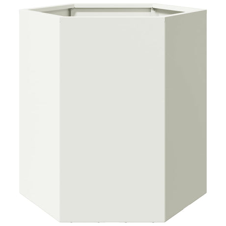 Plantenbakken 2 st zeshoek 46x40x45 cm staal wit - AllerleiShop