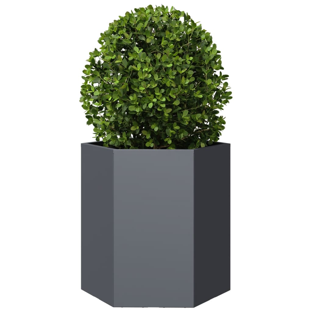 Plantenbakken 2 st zeshoek 46x40x45 cm staal antracietkleurig - AllerleiShop