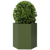 Plantenbak zeshoek 46x40x45 cm staal olijfgroen - AllerleiShop