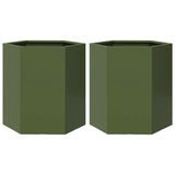 Plantenbakken 2 st zeshoek 46x40x45 cm staal olijfgroen - AllerleiShop