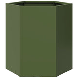 Plantenbakken 2 st zeshoek 46x40x45 cm staal olijfgroen - AllerleiShop