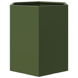 Plantenbakken 2 st zeshoek 46x40x45 cm staal olijfgroen - AllerleiShop