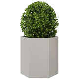 Plantenbak zeshoek 46x40x45 cm roestvrijstaal - AllerleiShop