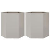 Plantenbakken 2 st zeshoek 46x40x45 cm roestvrijstaal - AllerleiShop