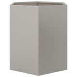 Plantenbakken 2 st zeshoek 46x40x45 cm roestvrijstaal - AllerleiShop