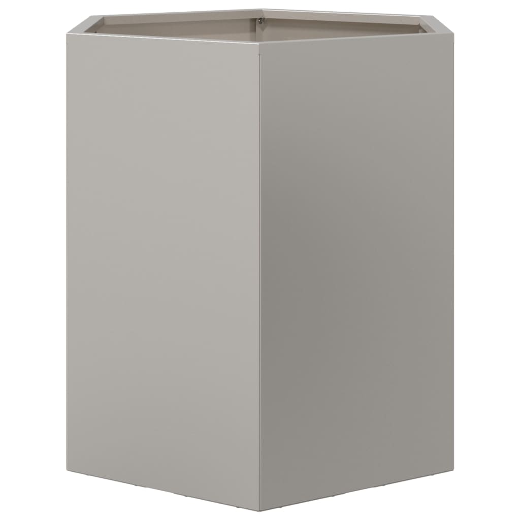 Plantenbakken 2 st zeshoek 46x40x45 cm roestvrijstaal - AllerleiShop