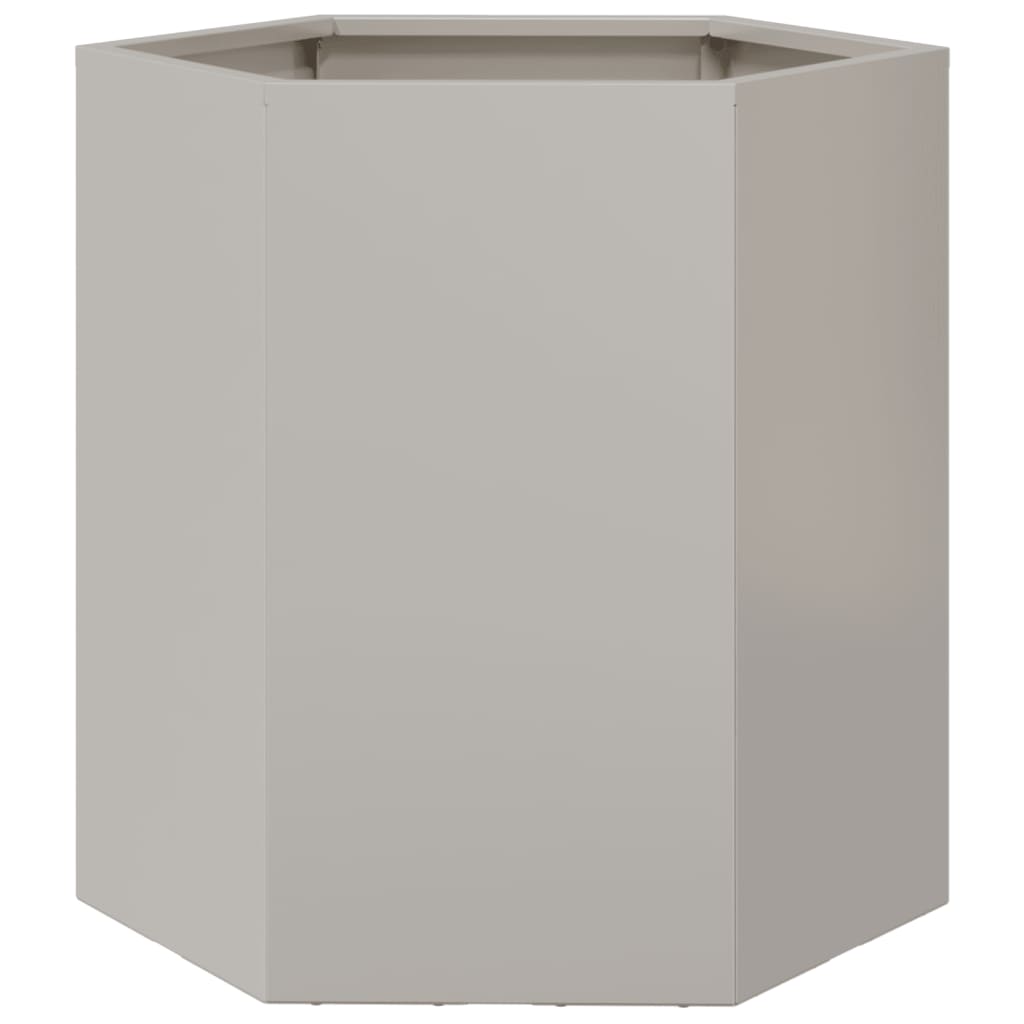 Plantenbakken 2 st zeshoek 46x40x45 cm roestvrijstaal - AllerleiShop