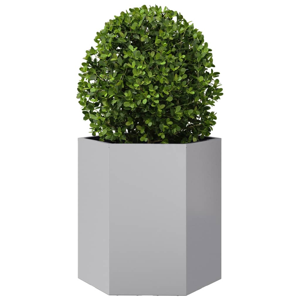 Plantenbak zeshoek 46x40x45 cm gegalvaniseerd staal - AllerleiShop