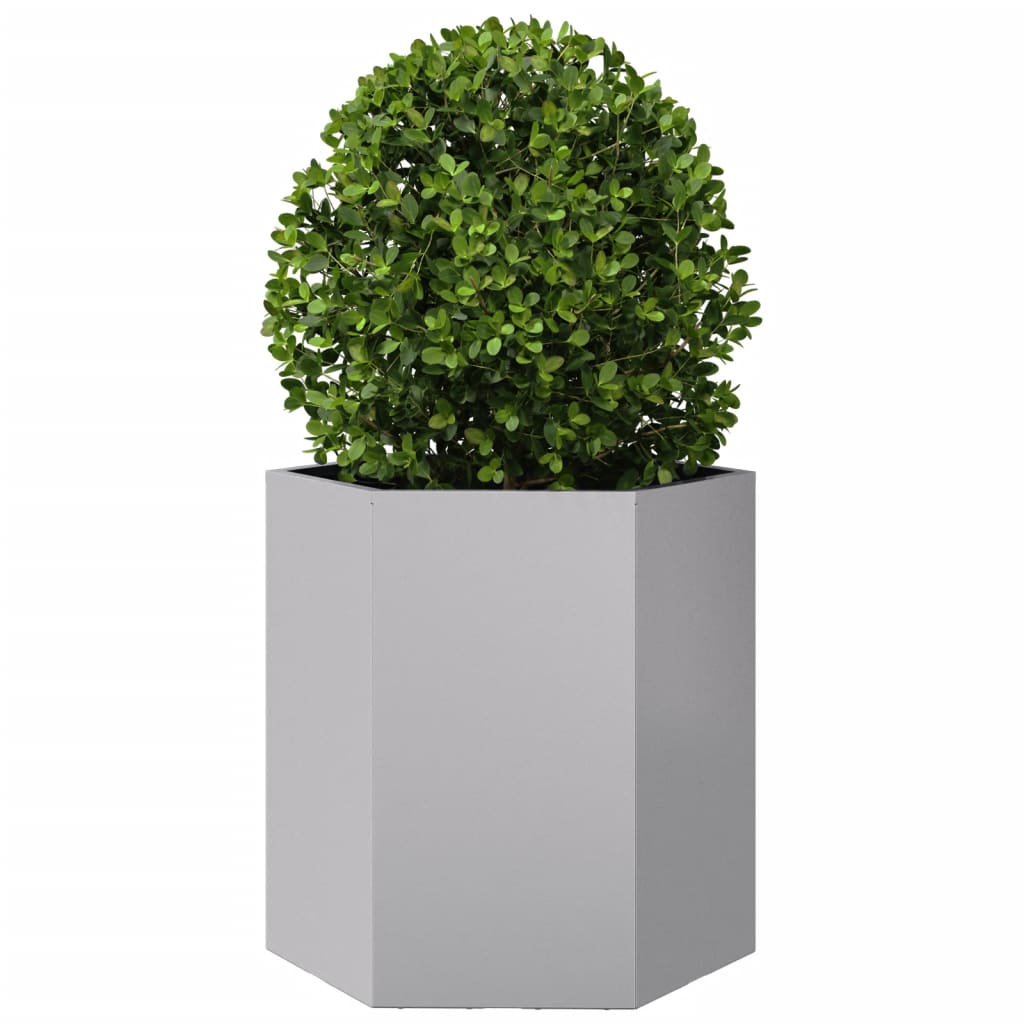 Plantenbakken 2 st zeshoek 46x40x45 cm gegalvaniseerd staal - AllerleiShop