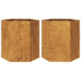 Plantenbakken 2 st zeshoek 46x40x45 cm cortenstaal - AllerleiShop