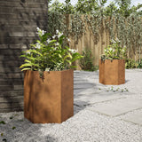 Plantenbakken 2 st zeshoek 46x40x45 cm cortenstaal - AllerleiShop